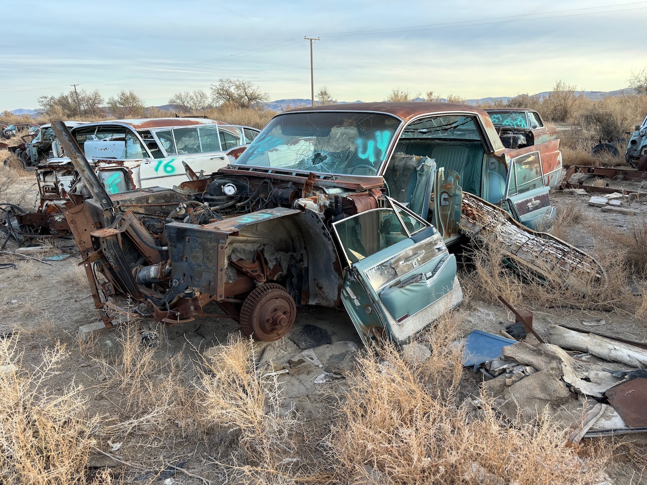 1964 Cadillac Fleetwood for Sale