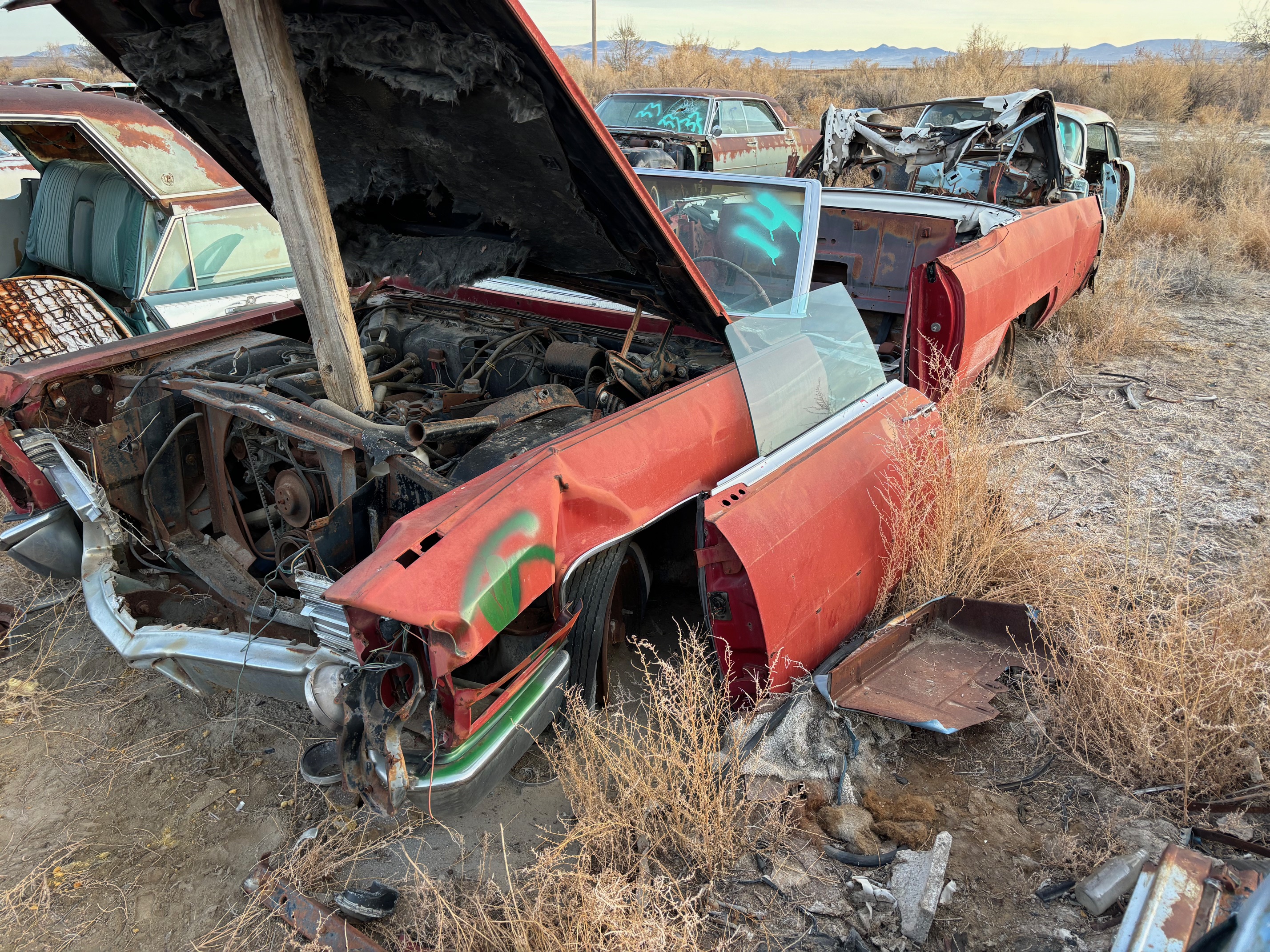 1966 Cadillac Convertible for Sale